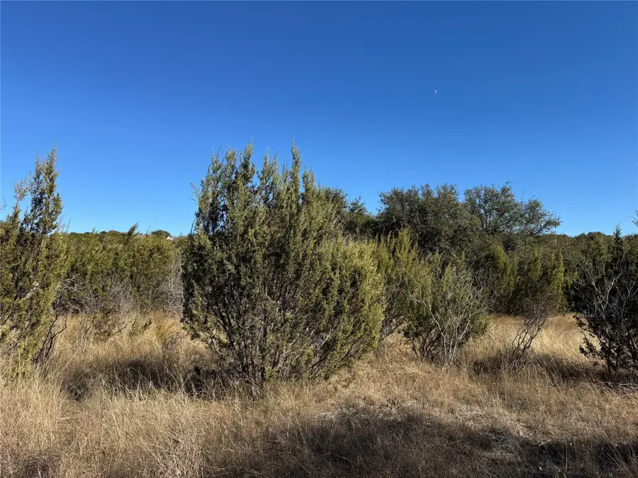 TBD Sunfish Point, Bluff Dale, TX 76433 - Image #3