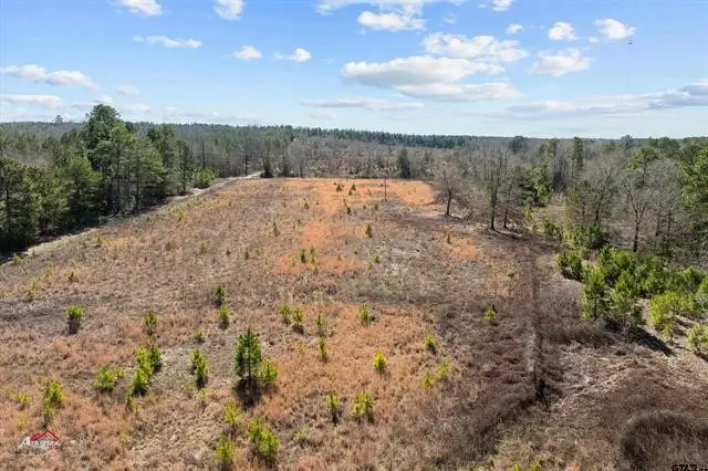 TBD Fm-2208, Jefferson, TX 75657 - Image #3