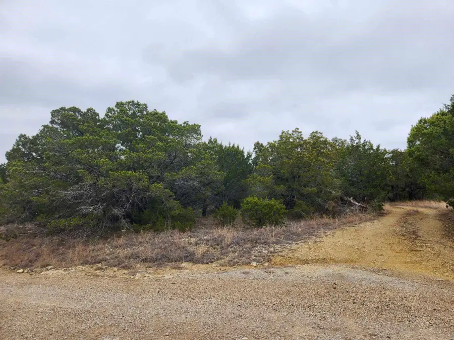 5509 N Lakeside Hills Court, Granbury, TX 76048 - Image #3