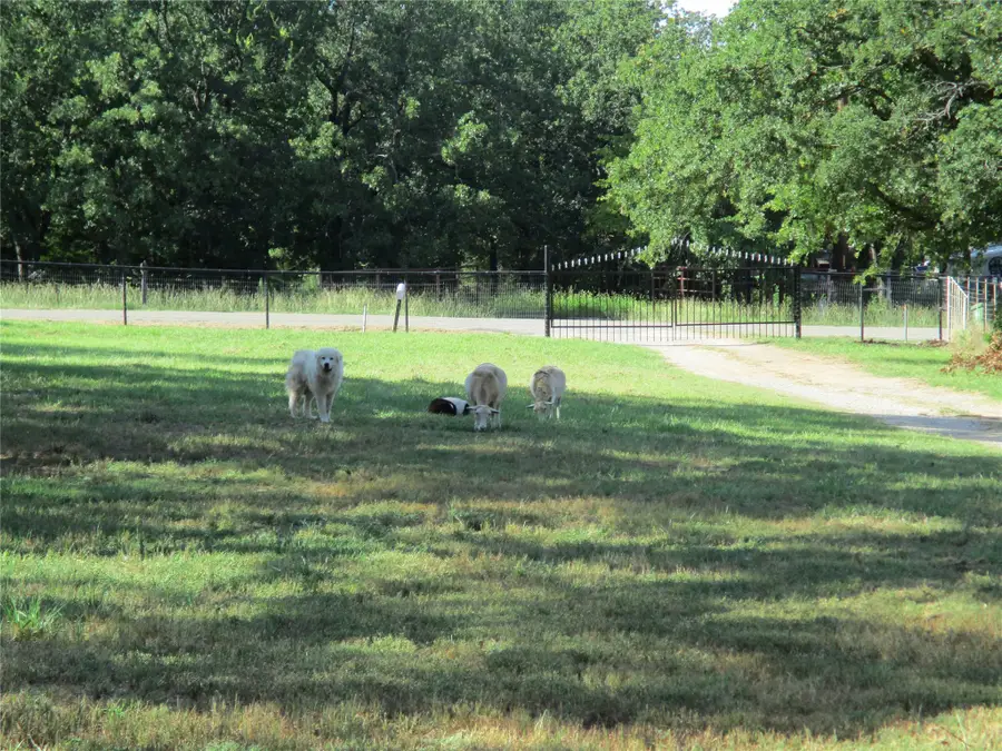 214 County Road 3432, Paradise, TX 76073 - Image #3