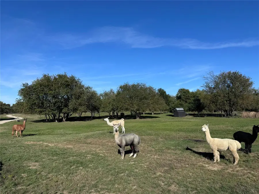 4081 Fm 2736 #C, Campbell, TX 75422 - Image #3