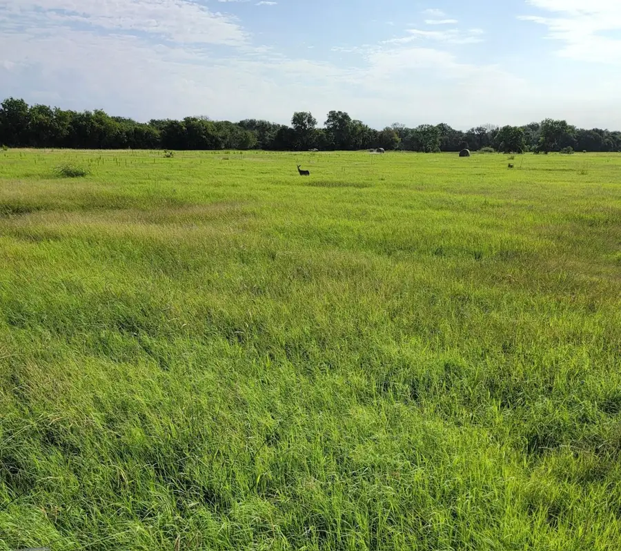 9931 Harmonson Road, Northlake, TX 76247 - Image #2