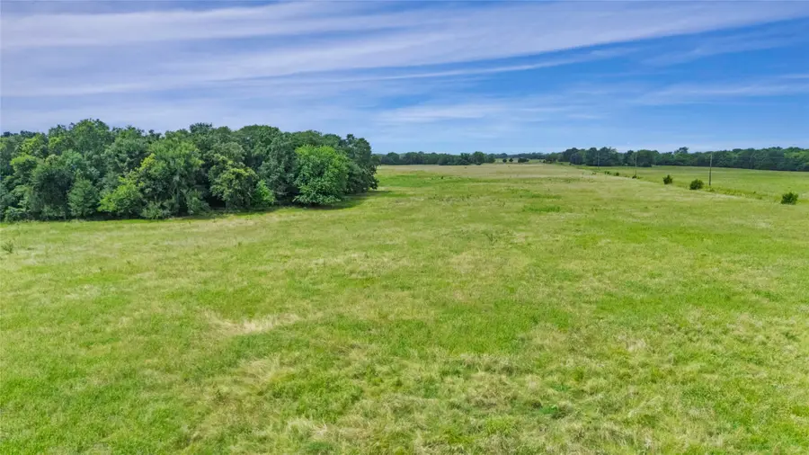 493.52 AC Rs County Road 4515, Point, TX 75472 - Image #2