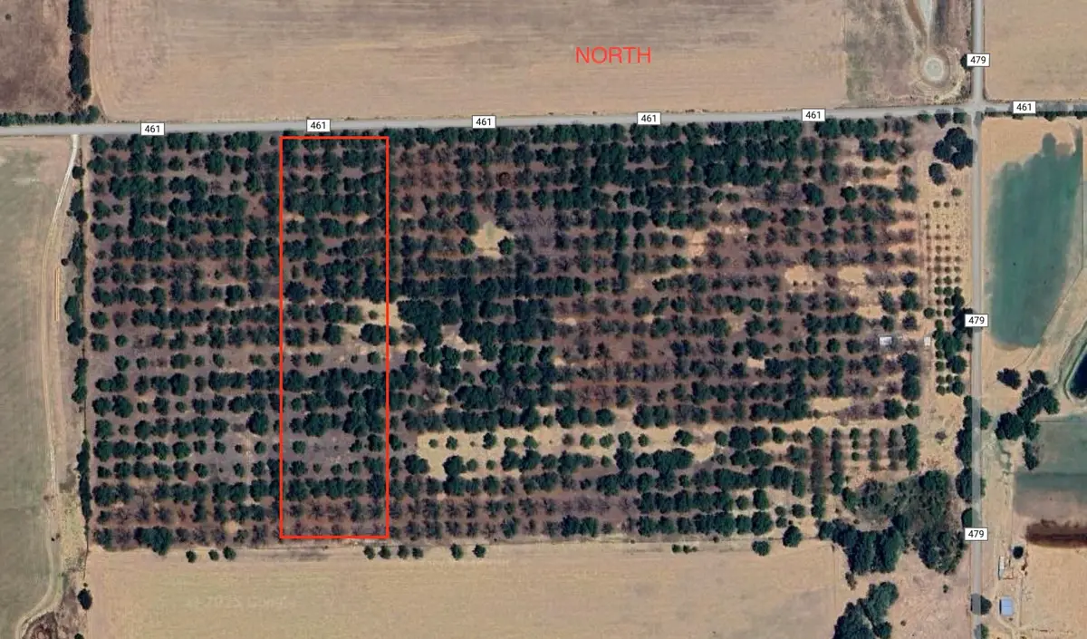 TBD County Road 461, De Leon, TX 76444 - Image #1