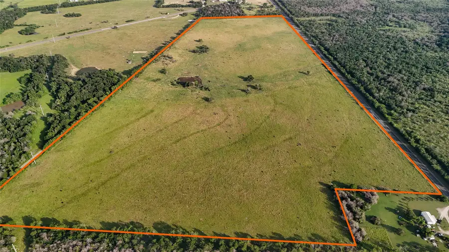 339 Fm, Kosse, TX 76653 - Image #3