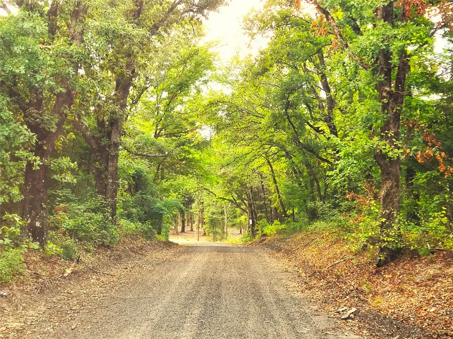 Lot 465 Cr-4710, Larue, TX 75770 - Image #2