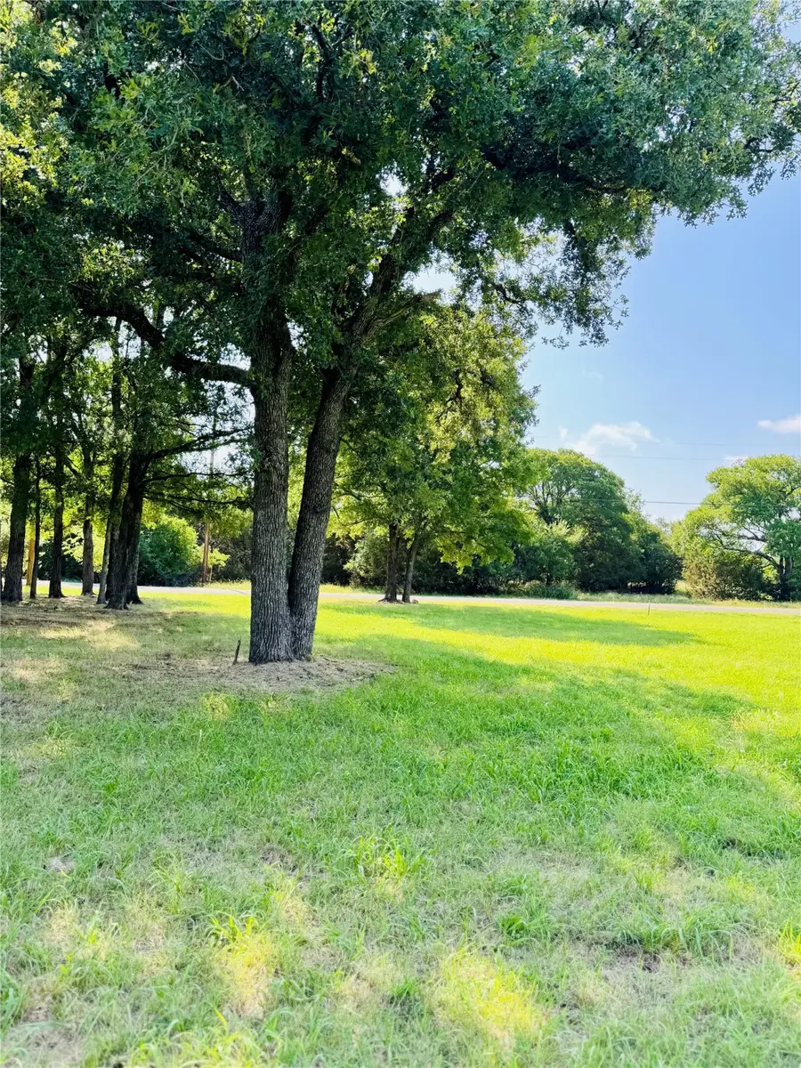 14004 Sandy Oaks Drive, Whitney, TX 76692 - Image #3