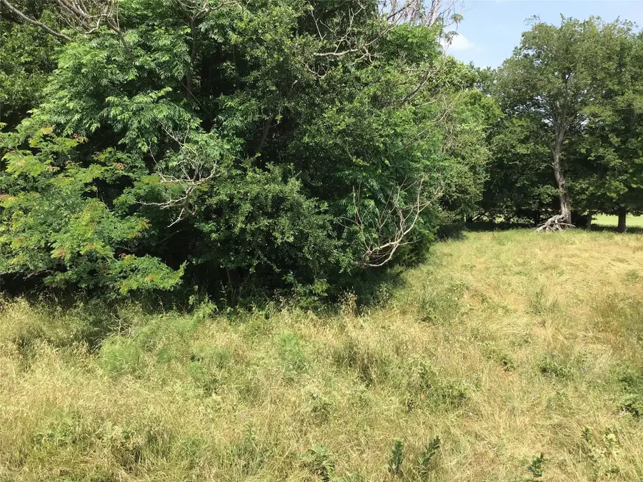 42086 Crooked Stick Drive, Whitney, TX 76692 - Image #2