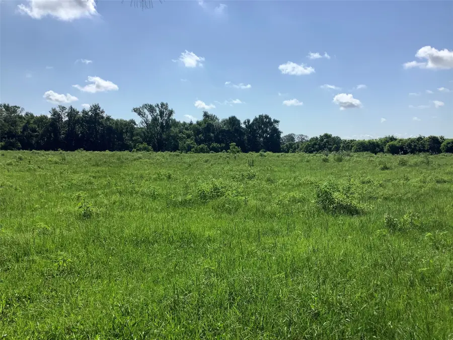 0000 Old Plain Dealing Road, Benton, LA 71006 - Image #3