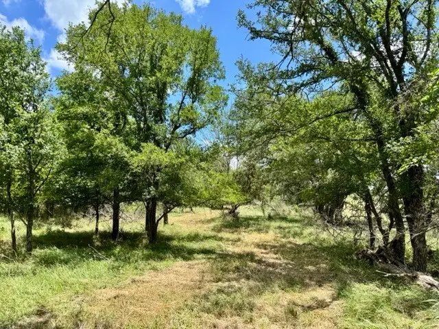 2031 County Road 3310, Valley Mills, TX 76689 - Image #3