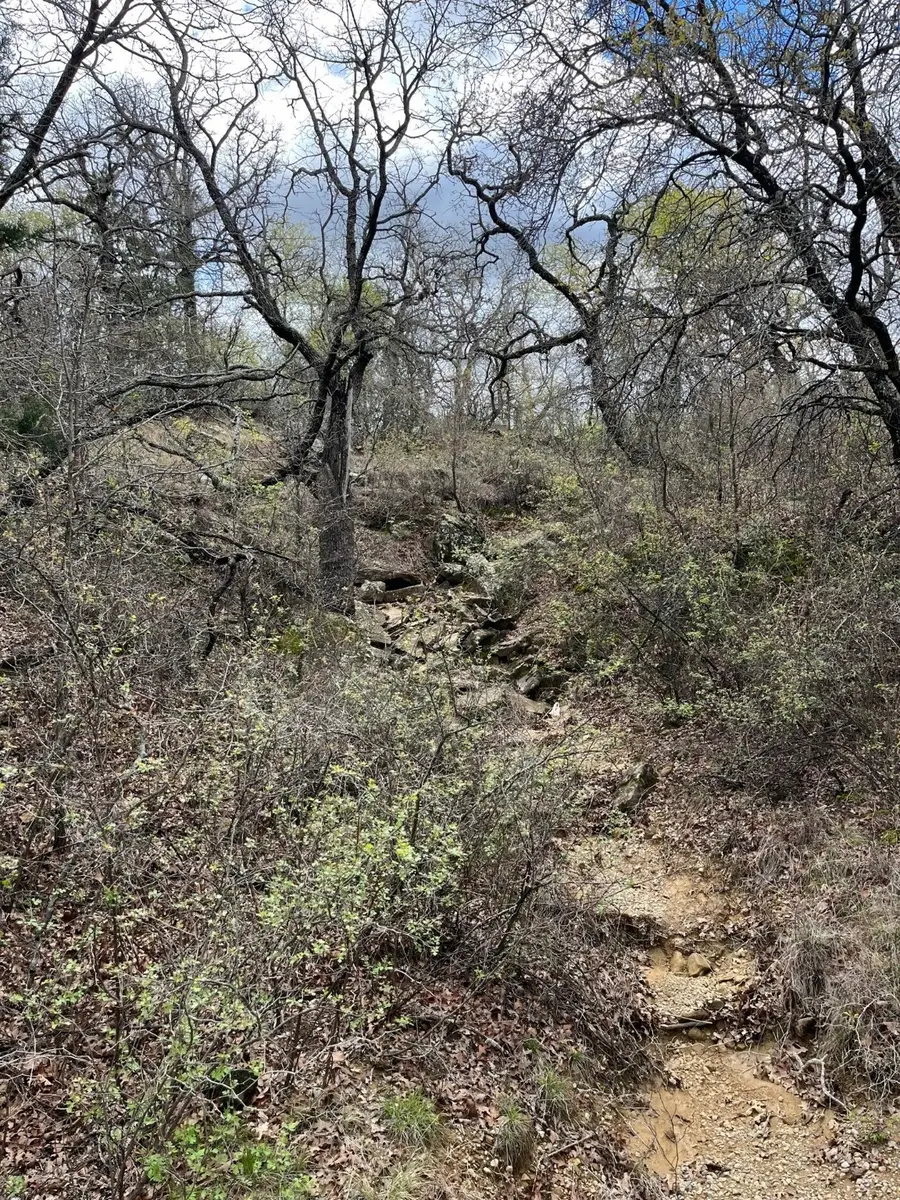 West 17 ac Burwick Road, Jacksboro, TX 76458 - Image #2