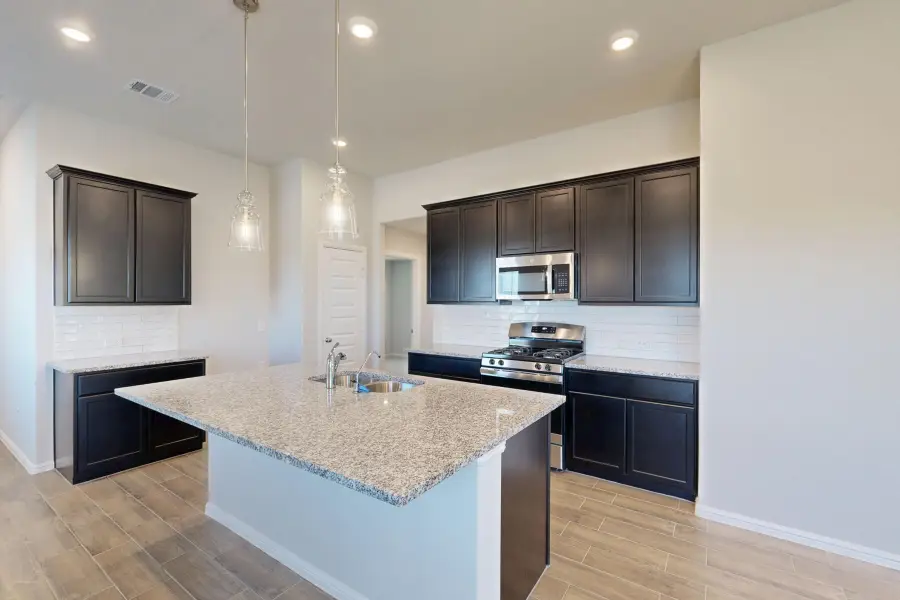 14163 Marion Downs Trail, Pilot Point, TX 76258 - Image #3