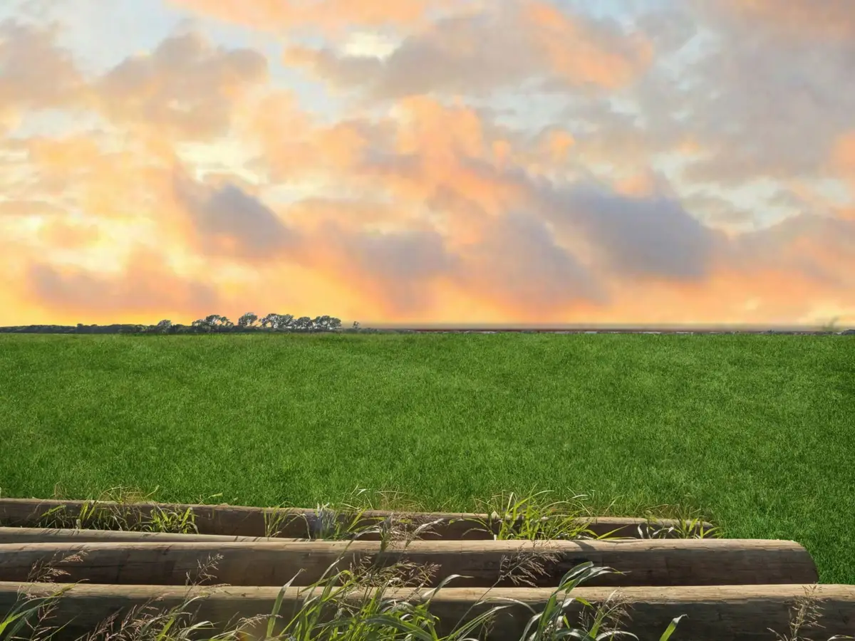 LOT 2 Ponderosa Road, Howe, TX 75459 - Image #1