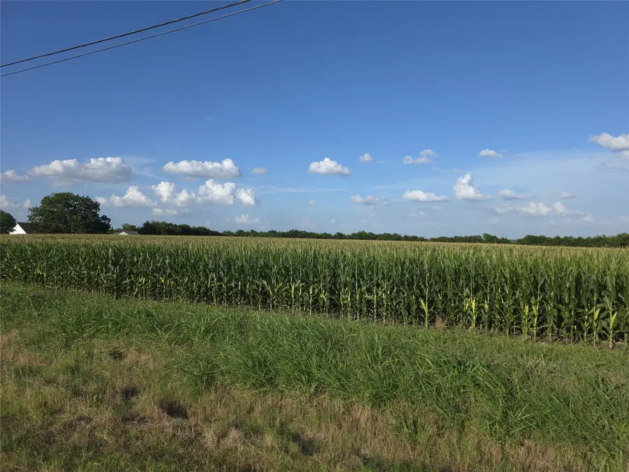 000 Fm 543, Weston, TX 75009 - Image #3