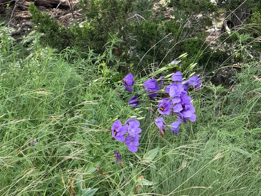 TBD 4120, Meridian, TX 76665 - Image #2