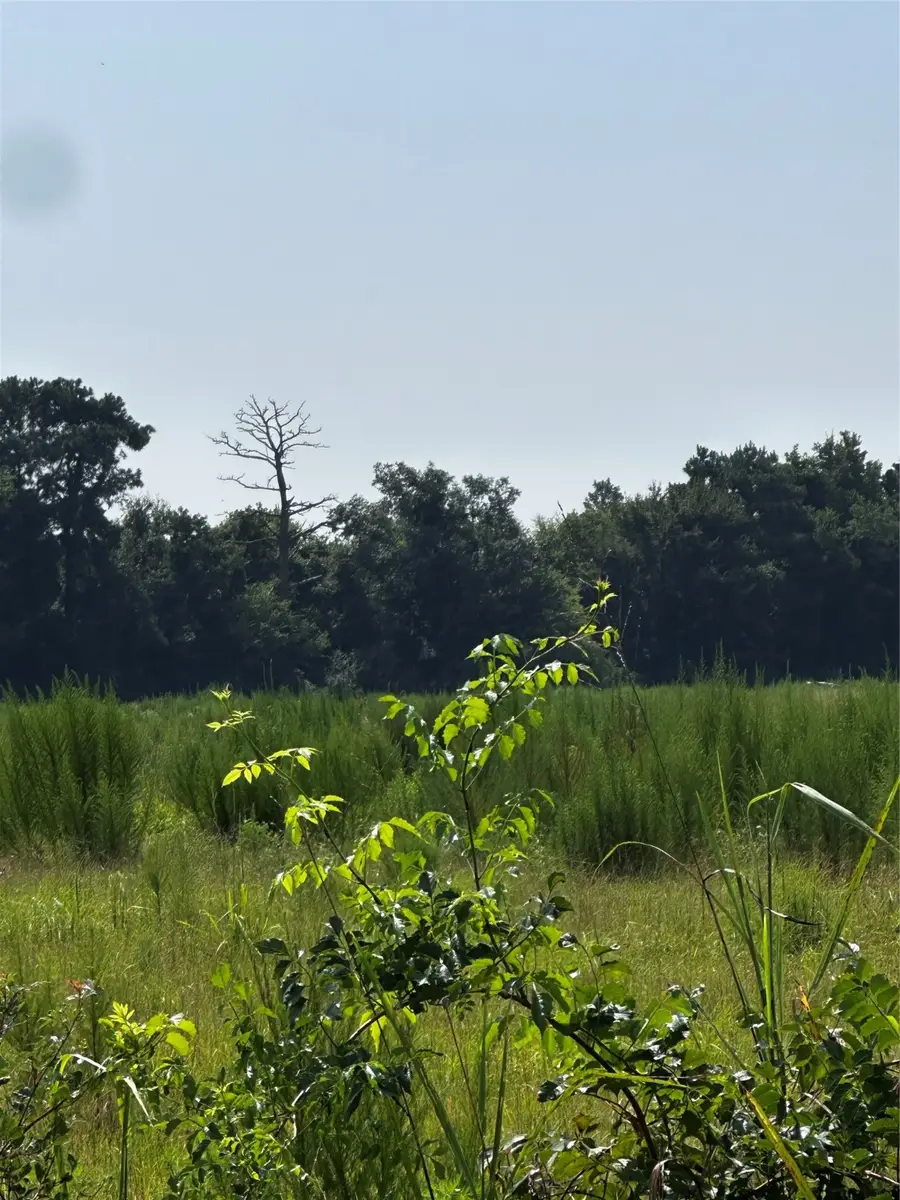 001 Fm-144, Daingerfield, TX 75638 - Image #2