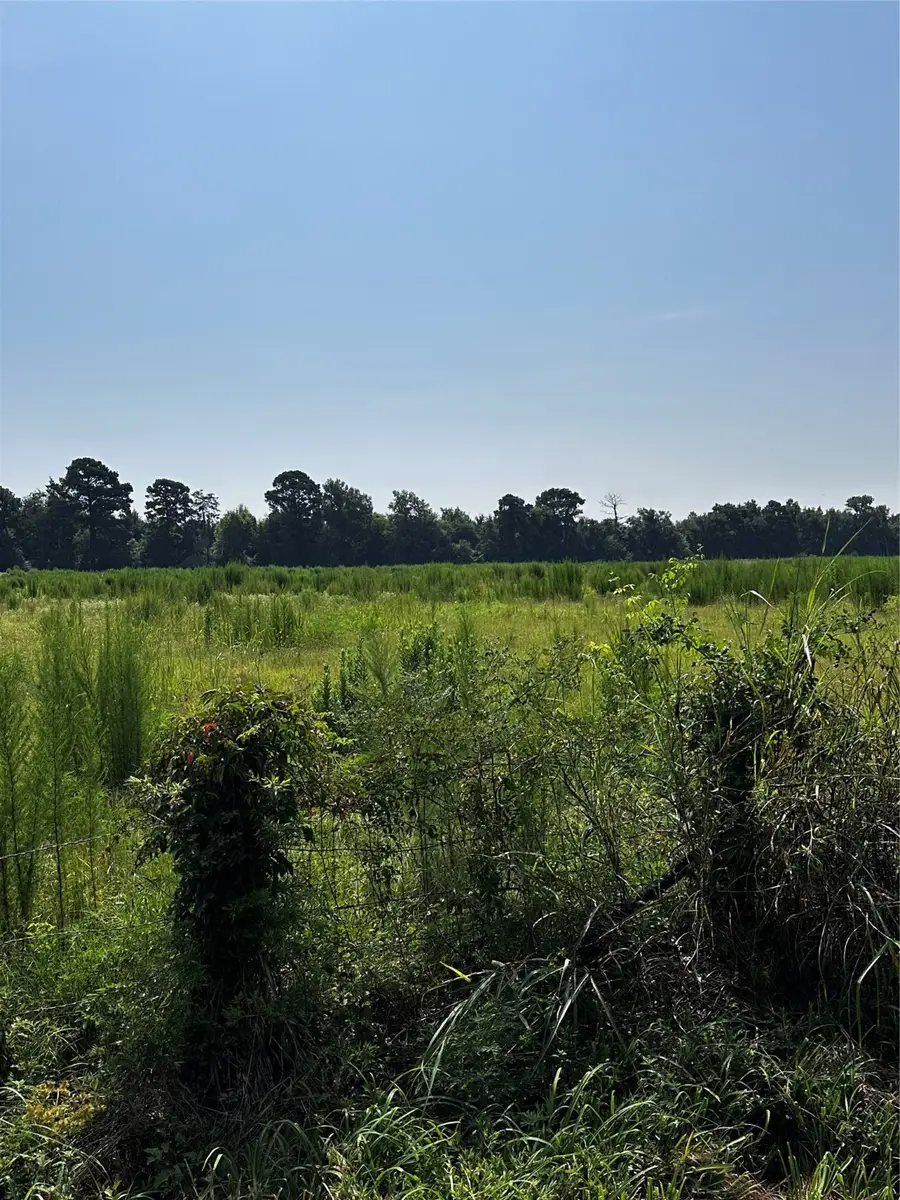 001 Fm-144, Daingerfield, TX 75638 - Image #3