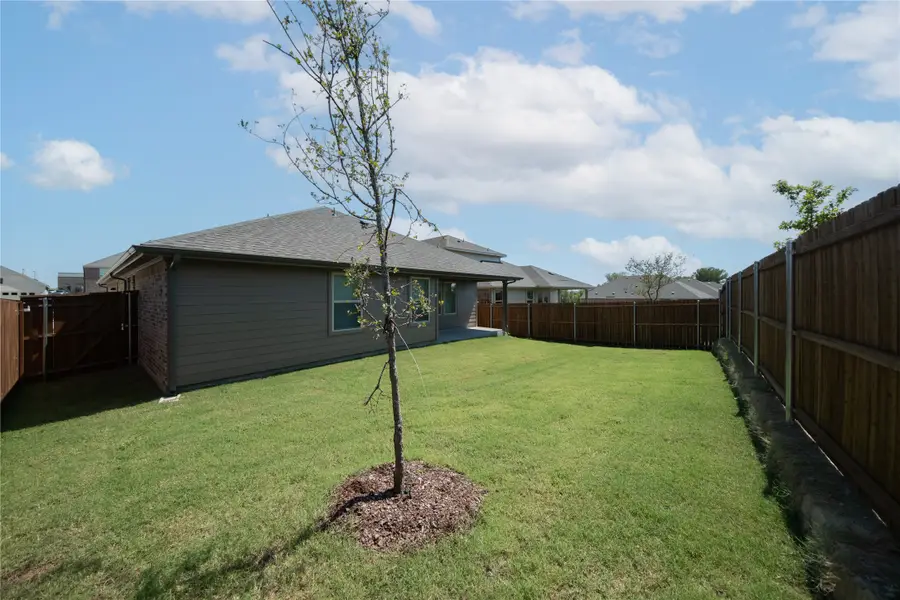 313 Thorn Creek Drive, Anna, TX 75409 - Image #2