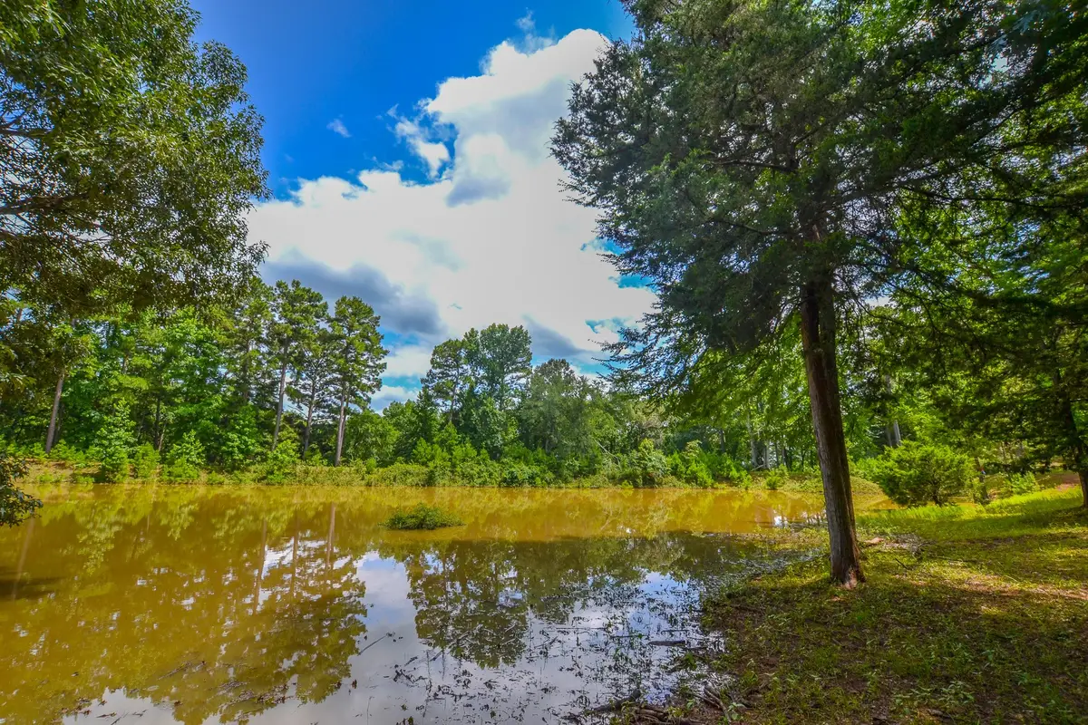 10933 County Road 4233, Frankston, TX 75763 - Image #1