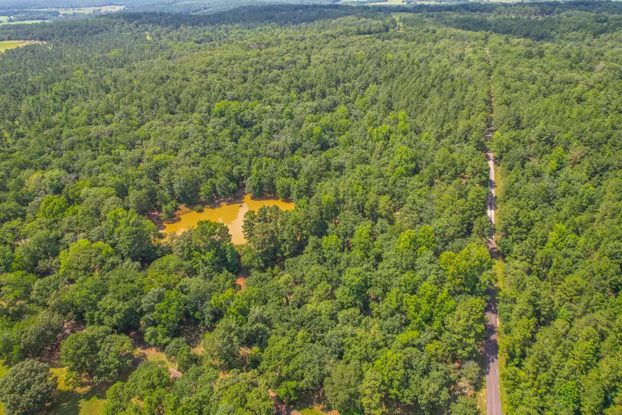 10933 County Road 4233, Frankston, TX 75763 - Image #2