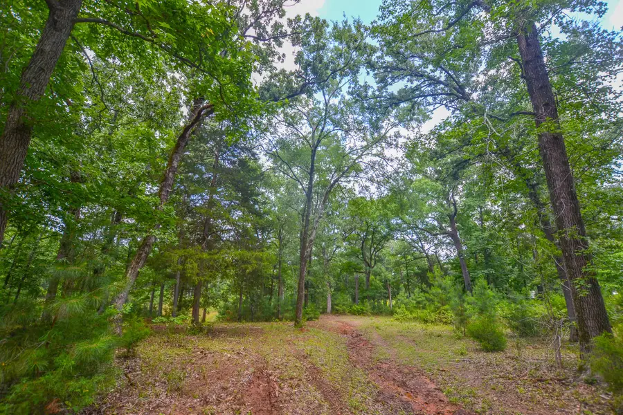 10933 County Road 4233, Frankston, TX 75763 - Image #3