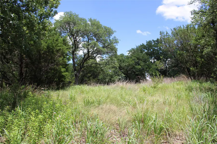 228 Private Road 2163, Iredell, TX 76649 - Image #3