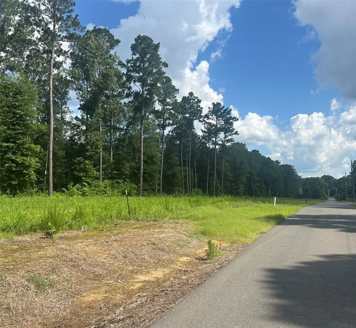 Lot 11 Pine Grove Road, Stonewall, LA 71078 - Image #1
