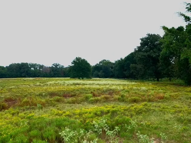 2411 County Road 2411, Honey Grove, TX 75446 - Image #3