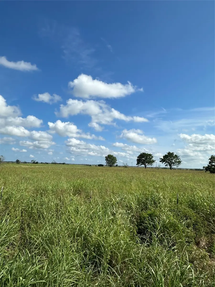 Tract 1 County Road 3430, Honey Grove, TX 75446 - Image #3