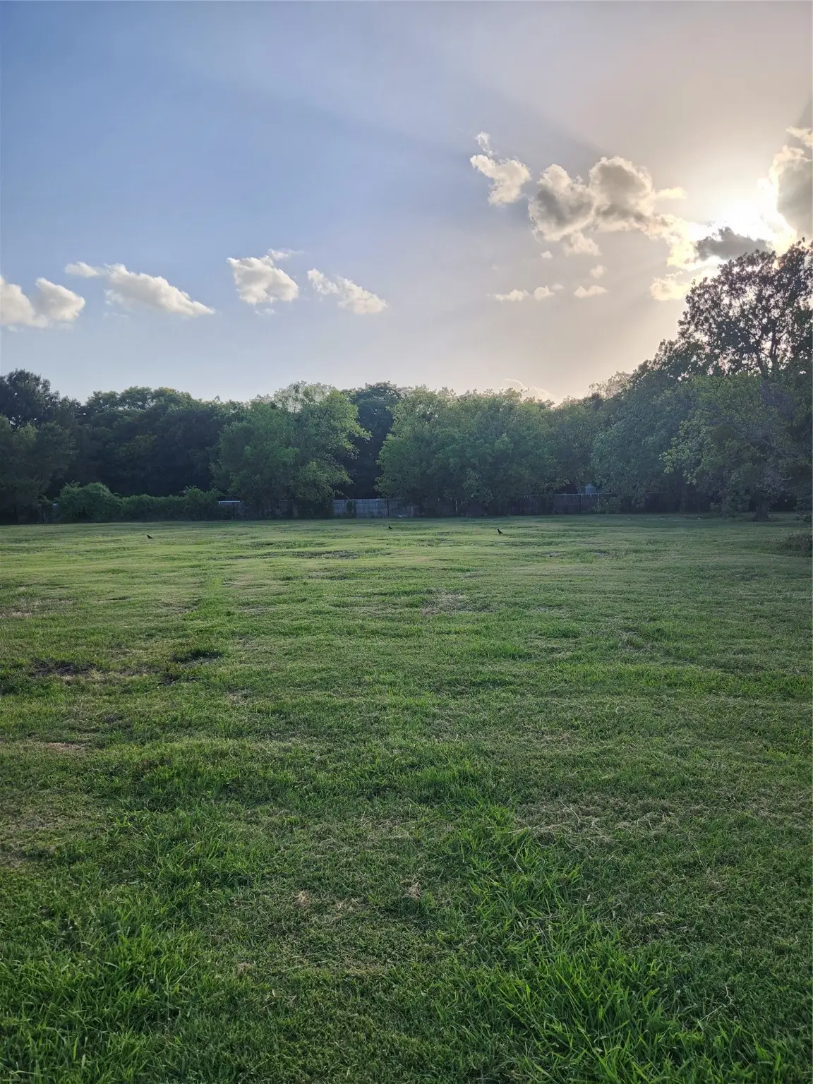 7913 Wayne Way, Rowlett, TX 75088 - Image #1