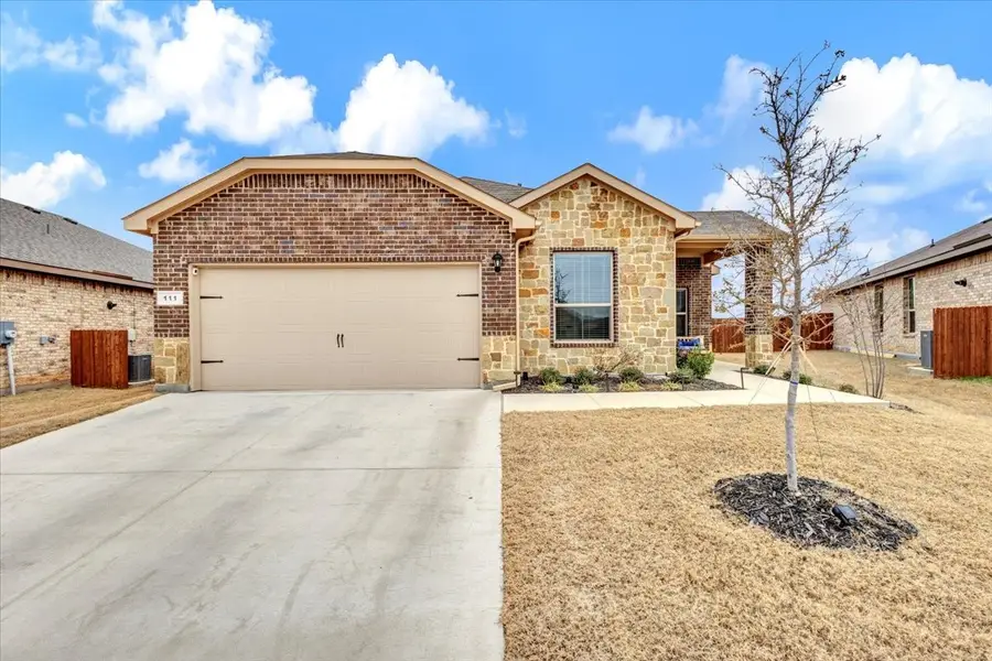 111 Irish Ivy Court, Boyd, TX 76023 - Image #3