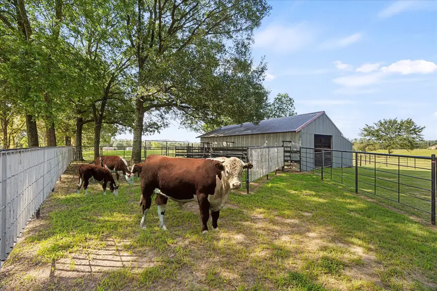 TBD Vz County Road 3104, Edgewood, TX 75117 - Image #3