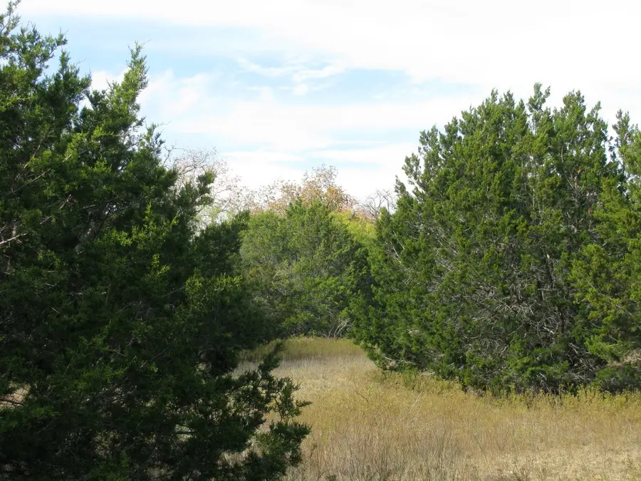 Lot 140 Ph 6 County Road 421, Evant, TX 76566 - Image #3