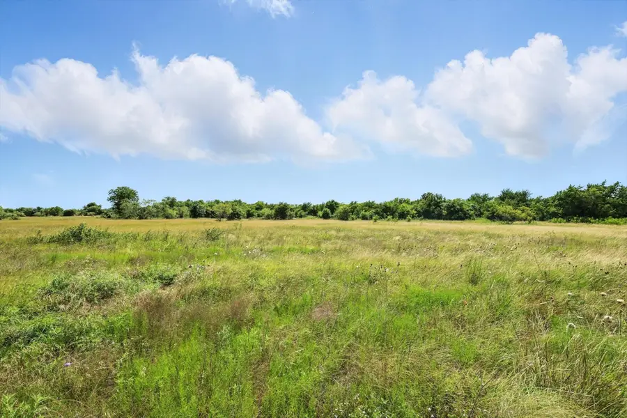 Lot 42 Longview Creek Trail, Itasca, TX 76055 - Image #3