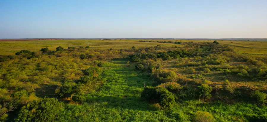 0000 Fm 1619, Memphis, TX 79245 - Image #3