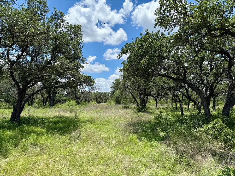 Lot 39 Pecan Valley Drive, Gustine, TX 76455 - Image #2