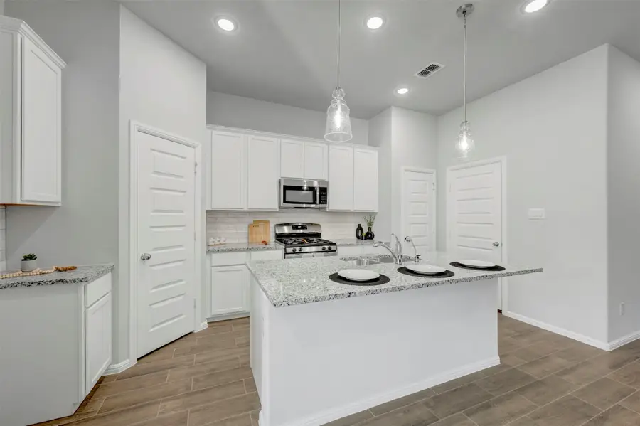 7408 Santolina Drive, Justin Roanoke, TX 76226 - Image #3