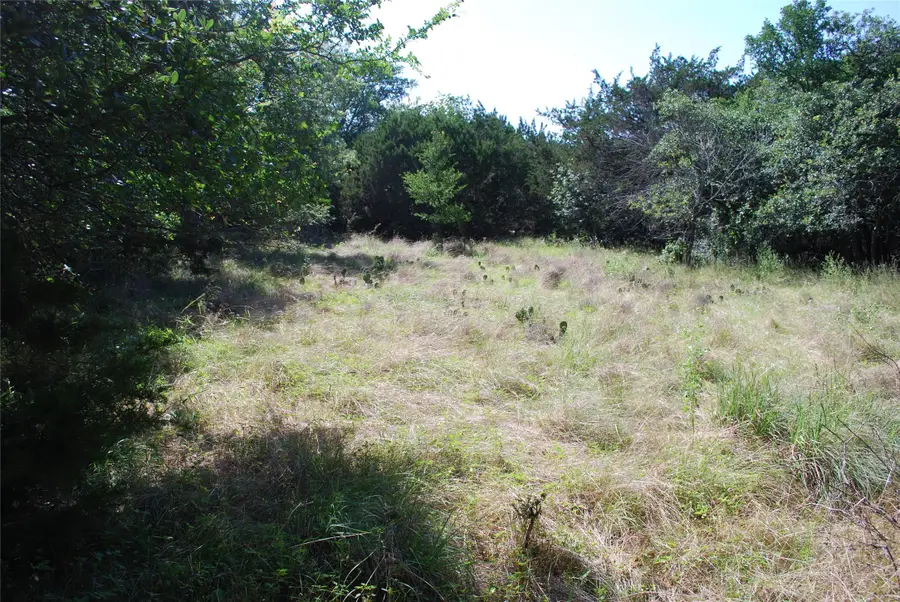 1306 Overlook Drive, Whitney, TX 76692 - Image #3