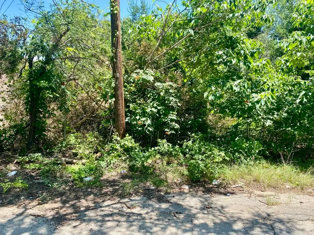 501 SW 15th Avenue, Mineral Wells, TX 76067 - #1