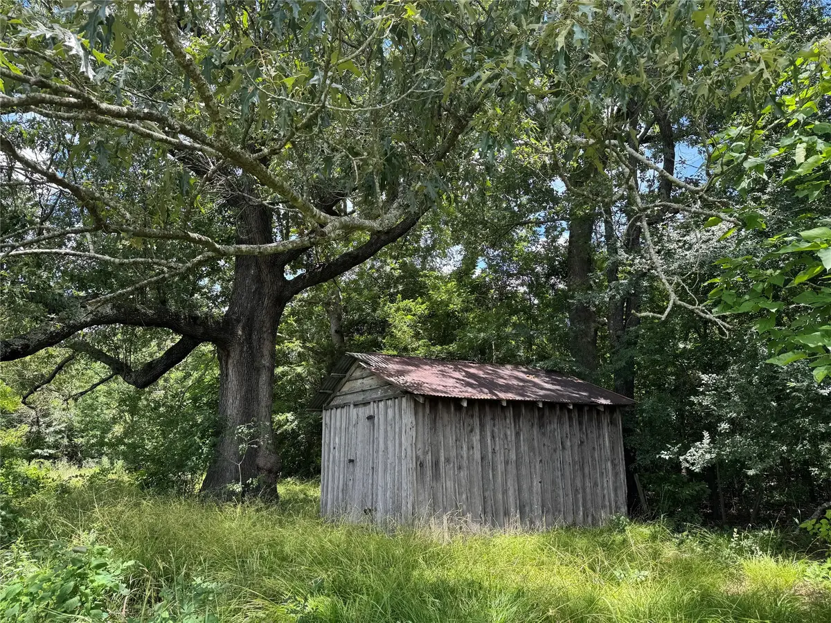 TBD County Road 3925, Mount Pleasant, TX 75455 - Image #1