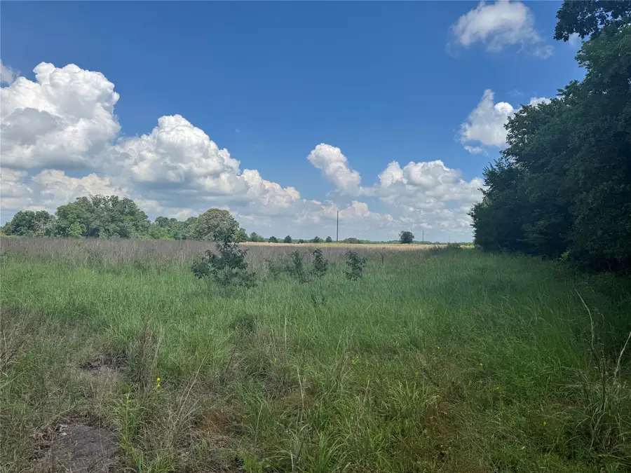 TBD County Road 3925, Mount Pleasant, TX 75455 - Image #2