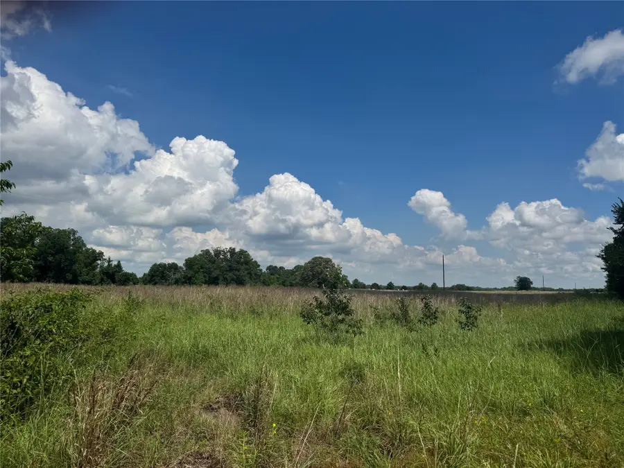 TBD County Road 3925, Mount Pleasant, TX 75455 - Image #3