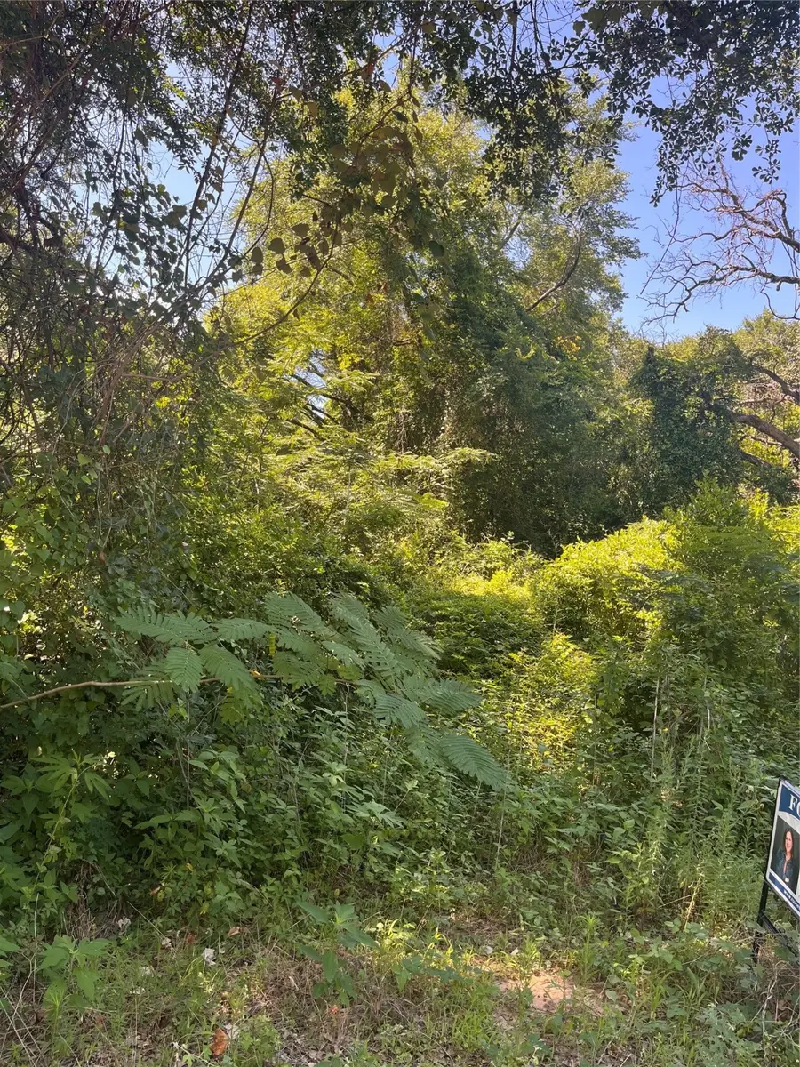 0 Ponderosa Drive, Eustace, TX 75124 - Image #2