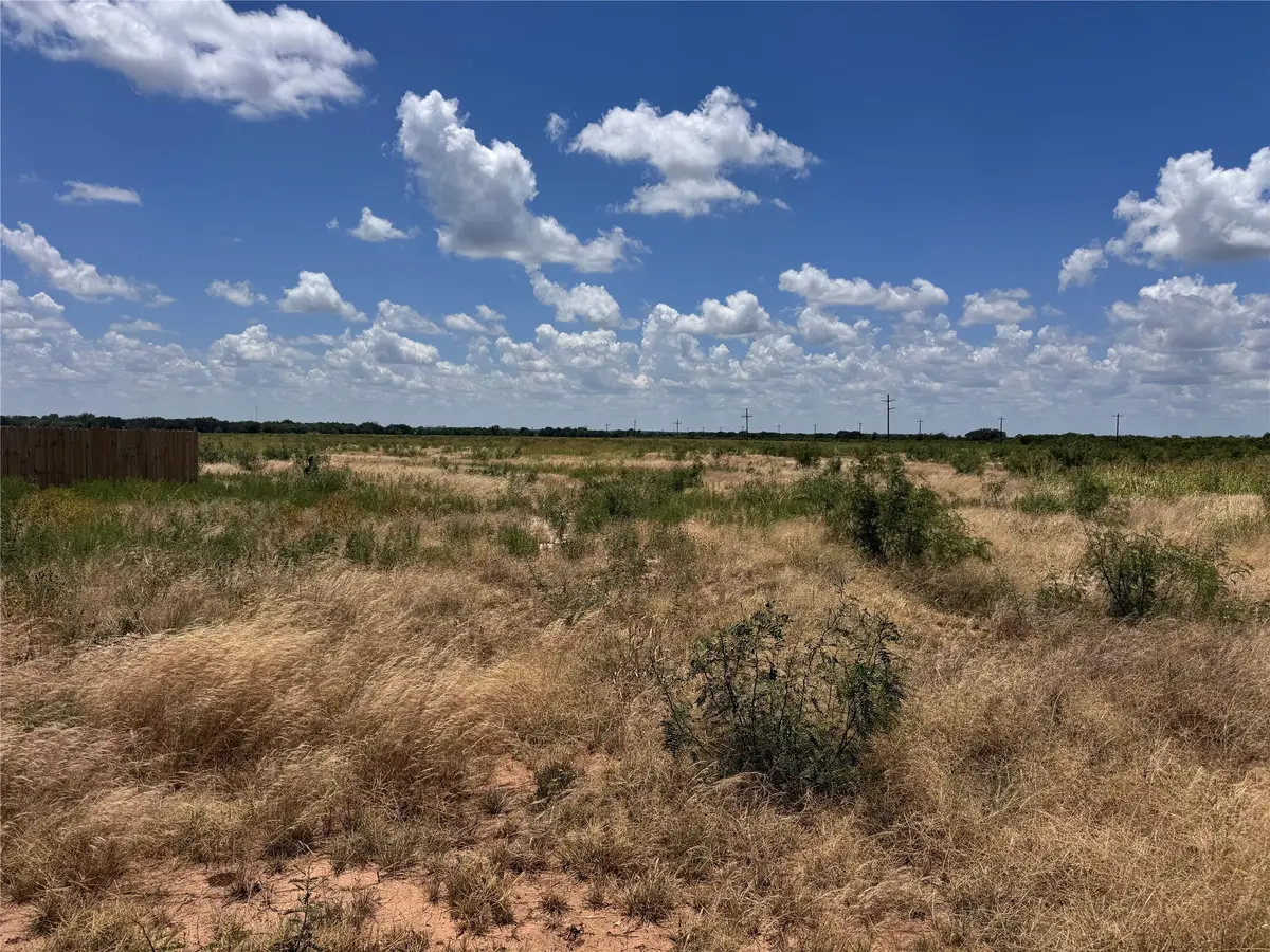 129 Skyview Dr Drive, Early, TX 76802 - Image #1