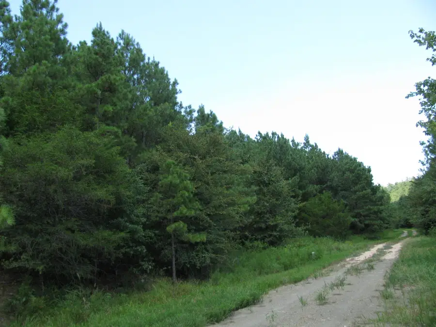 TBD Josee's Journey, Nashoba, OK 74558 - Image #2