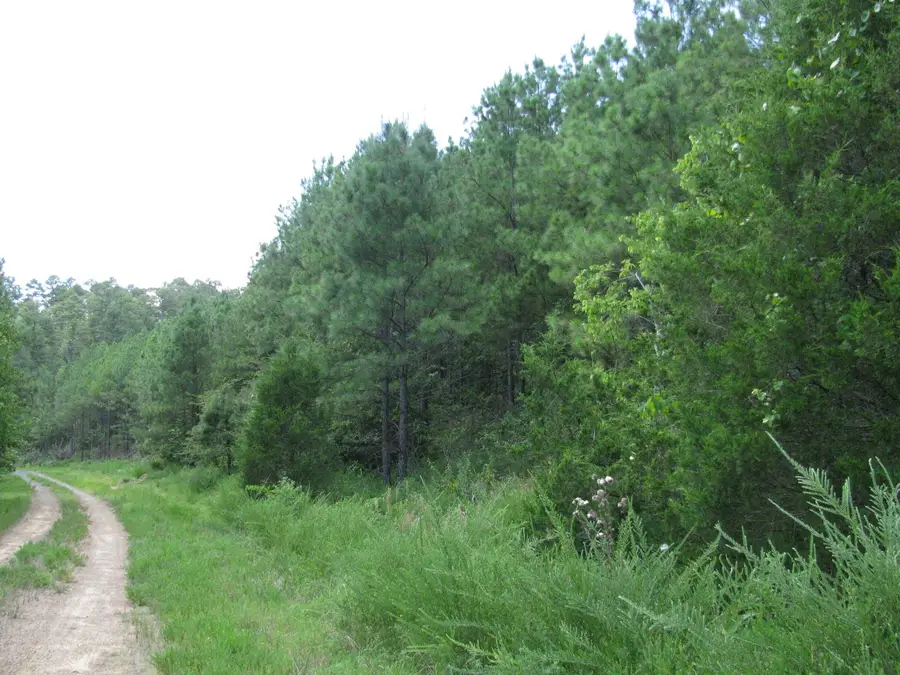 TBD Josee's Journey, Nashoba, OK 74558 - Image #3