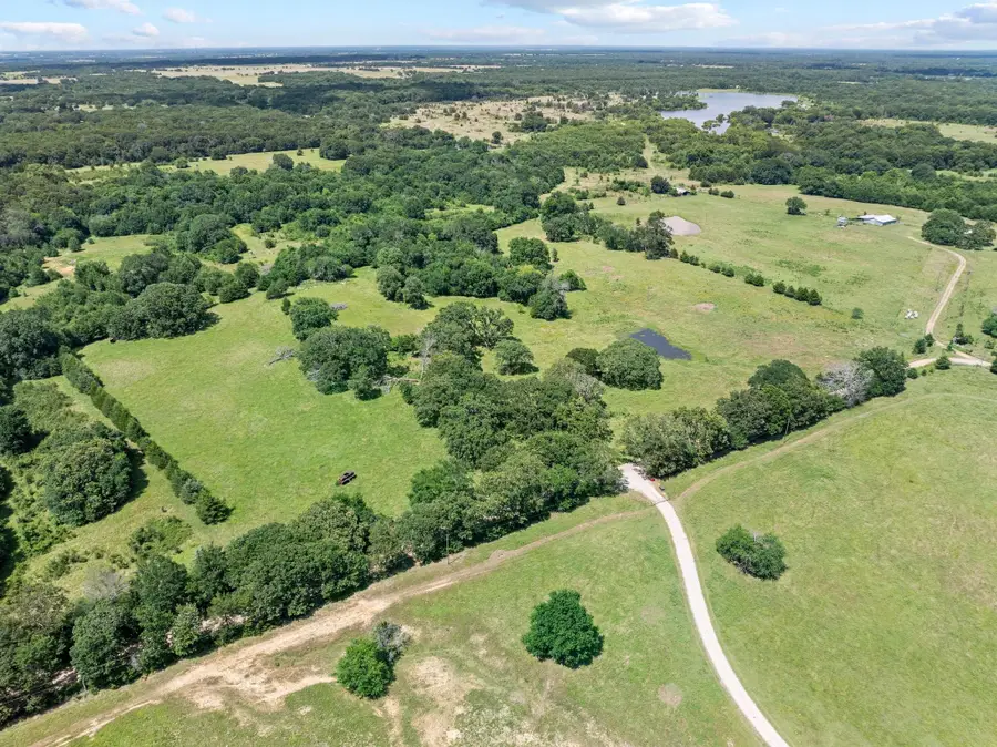 TBD County Road 2220, Ivanhoe, TX 75447 - Image #3
