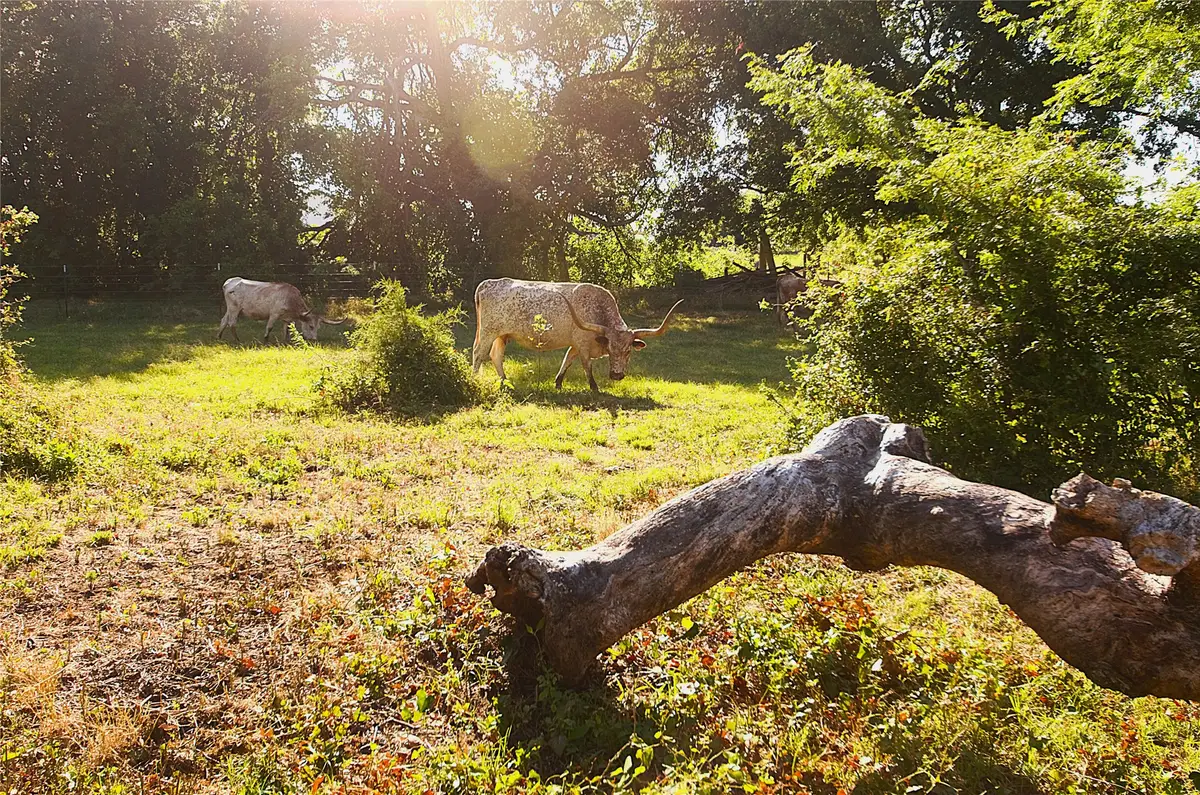 316 Flowing Wells, Pottsboro, TX 75076 - Image #1