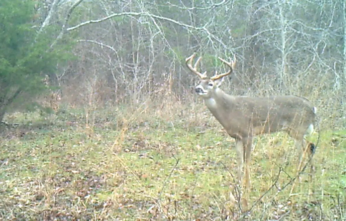 3324 County Road 3206, Dawson, TX 76639 - Image #1