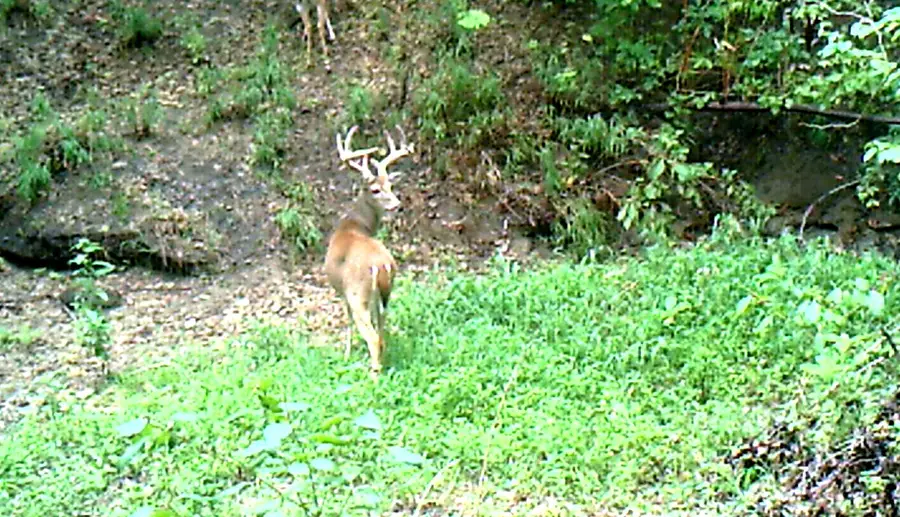 3324 County Road 3206, Dawson, TX 76639 - Image #2